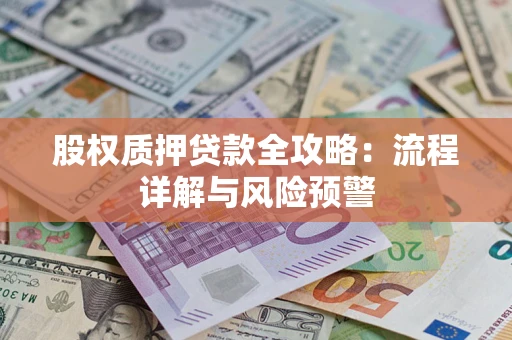 北京股权质押贷款全攻略：流程详解与风险预警