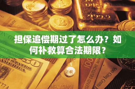 北京担保追偿期过了怎么办？如何补救算合法期限？