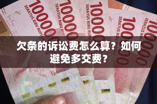 北京欠条的诉讼费怎么算？如何避免多交费？